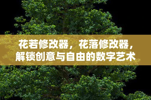 花若修改器,花落修改器,解锁创意与自由的数字艺术工具 花若修改器,花落修改器,解锁创意与自由的数字艺术工具