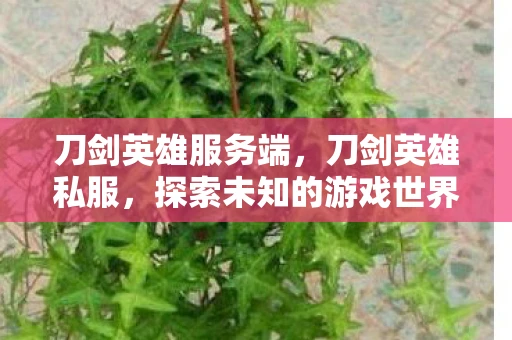刀剑英雄服务端，刀剑英雄私服，探索未知的游戏世界