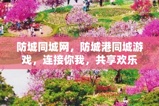 防城同城网，防城港同城游戏，连接你我，共享欢乐