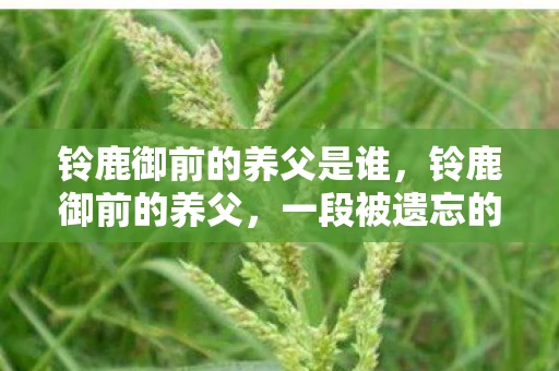 铃鹿御前的养父是谁，铃鹿御前的养父，一段被遗忘的历史