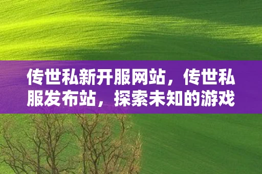 传世私新开服网站,传世私服发布站,探索未知的游戏世界 传世私新开服网站,传世私服发布站,探索未知的游戏世界
