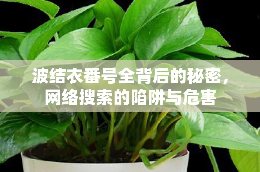 波结衣番号全背后的秘密,网络搜索的陷阱与危害 波结衣番号全背后的秘密,网络搜索的陷阱与危害