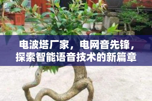 电波塔厂家,电网音先锋,探索智能语音技术的新篇章 电波塔厂家,电网音先锋,探索智能语音技术的新篇章