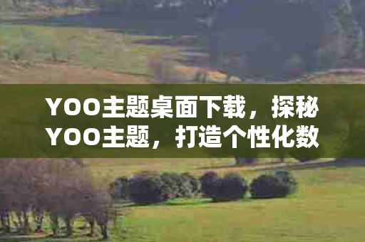 YOO主题桌面下载,探秘YOO主题,打造个性化数字时代的时尚标签 YOO主题桌面下载,探秘YOO主题,打造个性化数字时代的时尚标签