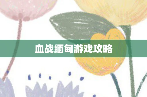 血战缅甸游戏攻略