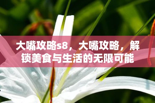 大嘴攻略s8，大嘴攻略，解锁美食与生活的无限可能