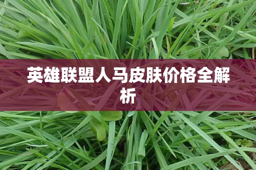 英雄联盟人马皮肤价格全解析图片