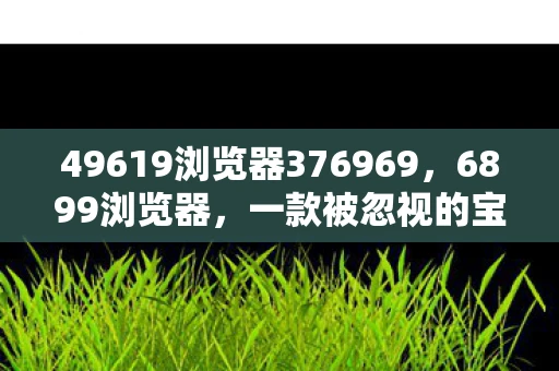 49619浏览器376969，6899浏览器，一款被忽视的宝藏浏览器