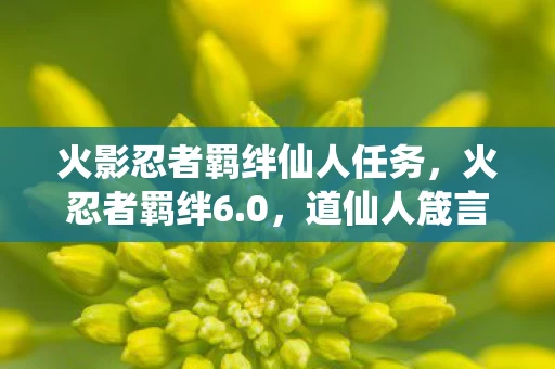 火影忍者羁绊仙人任务，火忍者羁绊6.0，道仙人箴言