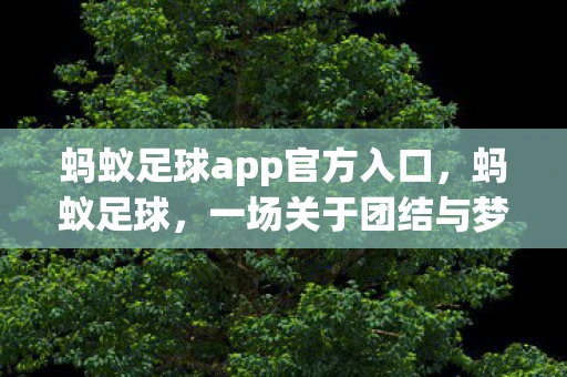 蚂蚁足球app官方入口,蚂蚁足球,一场关于团结与梦想的足球盛宴 蚂蚁足球app官方入口,蚂蚁足球,一场关于团结与梦想的足球盛宴
