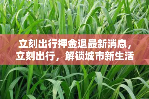 立刻出行押金退最新消息,立刻出行,解锁城市新生活的便捷方式 立刻出行押金退最新消息,立刻出行,解锁城市新生活的便捷方式