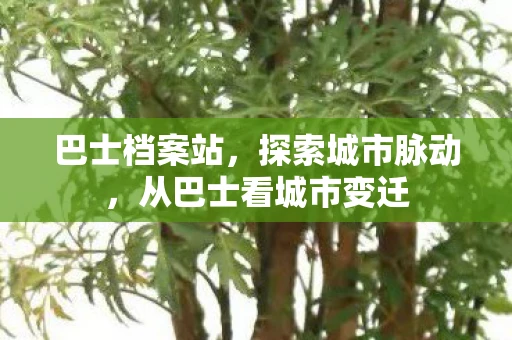 巴士档案站，探索城市脉动，从巴士看城市变迁