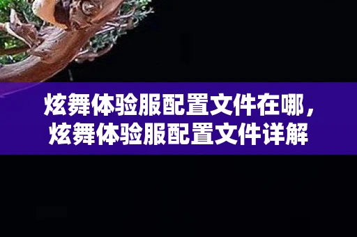 炫舞体验服配置文件在哪，炫舞体验服配置文件详解