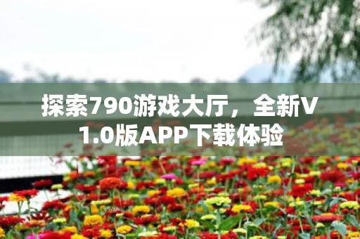 探索790游戏大厅图片