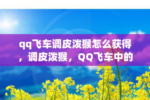qq飞车调皮泼猴怎么获得，调皮泼猴，QQ飞车中的速度与激情