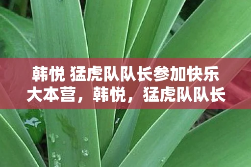 韩悦 猛虎队队长参加快乐大本营，韩悦，猛虎队队长的传奇之路