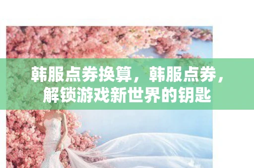韩服点券换算，韩服点券，解锁游戏新世界的钥匙