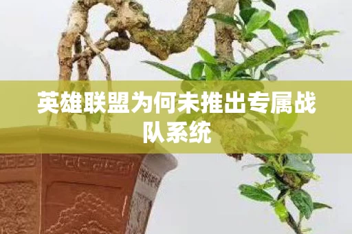 英雄联盟为何未推出专属战队系统图片