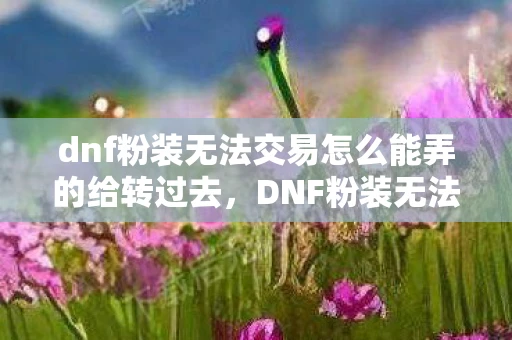 dnf粉装无法交易怎么能弄的给转过去,DNF粉装无法交易,背后的故事与影响 dnf粉装无法交易怎么能弄的给转过去,DNF粉装无法交易,背后的故事与影响