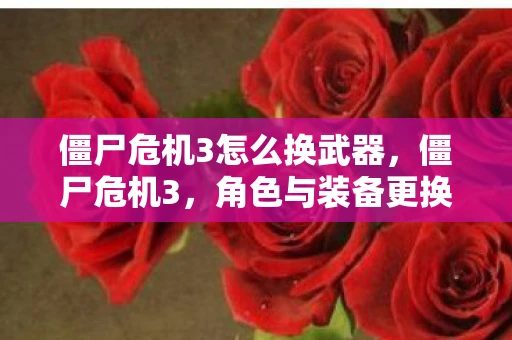 僵尸危机3怎么换武器，僵尸危机3，角色与装备更换攻略