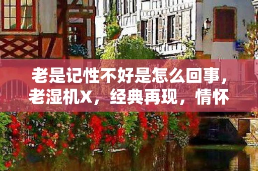 老是记性不好是怎么回事，老湿机X，经典再现，情怀与技术的完美融合