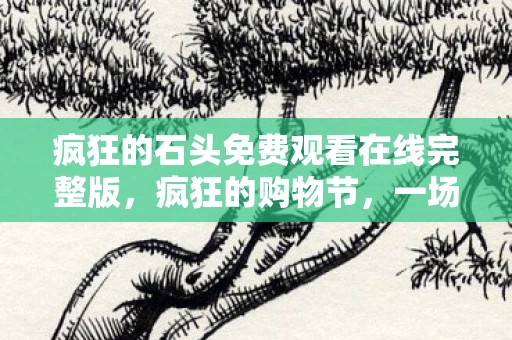 疯狂的石头免费观看在线完整版，疯狂的购物节，一场全民狂欢的年度盛宴