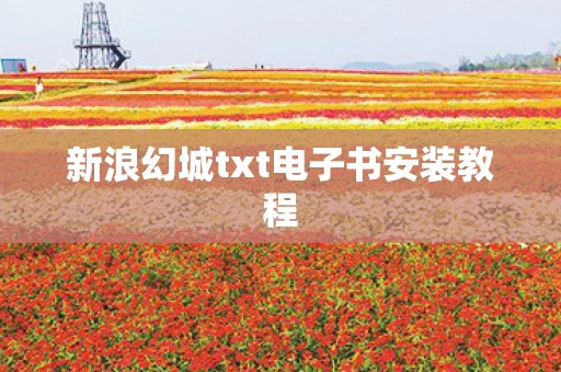 新浪幻城txt电子书安装教程图片