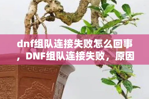 dnf组队连接失败怎么回事，DNF组队连接失败，原因分析与解决方案