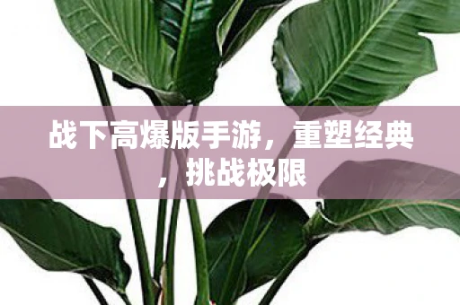 战下高爆版手游，重塑经典，挑战极限