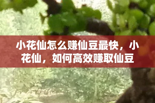 小花仙怎么赚仙豆最快，小花仙，如何高效赚取仙豆