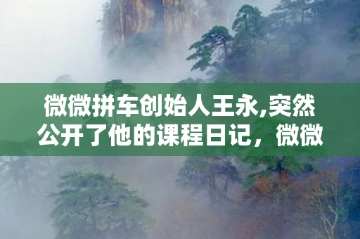 微微拼车创始人王永,突然公开了他的课程日记，微微拼车，共享经济下的出行新选择