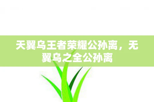 天翼乌王者荣耀公孙离，无翼乌之全公孙离