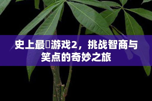史上最囧游戏2，挑战智商与笑点的奇妙之旅