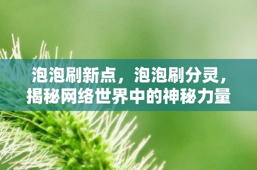 泡泡刷新点，泡泡刷分灵，揭秘网络世界中的神秘力量