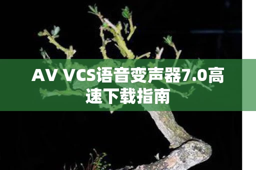 AV VCS语音变声器7图片