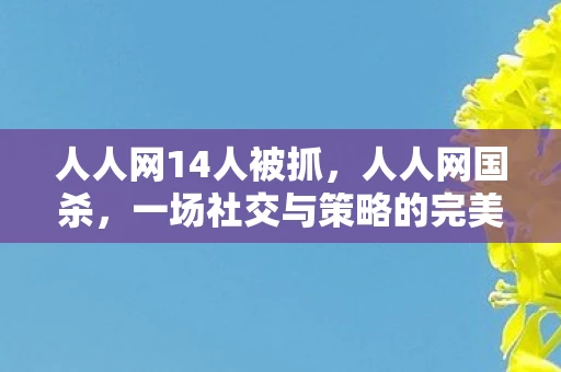 人人网14人被抓，人人网国杀，一场社交与策略的完美融合