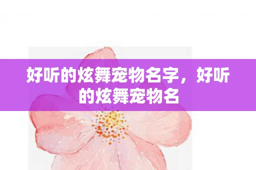 好听的炫舞宠物名字，好听的炫舞宠物名