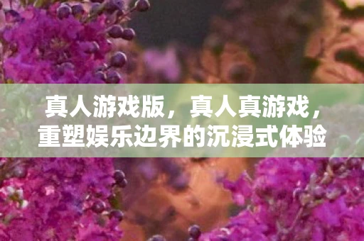 真人游戏版,真人真游戏,重塑娱乐边界的沉浸式体验 真人游戏版,真人真游戏,重塑娱乐边界的沉浸式体验