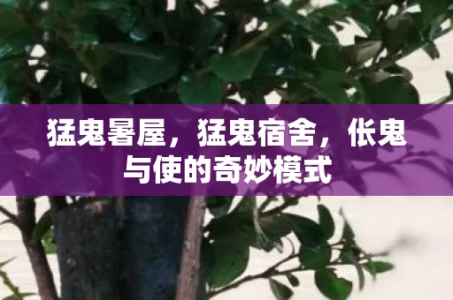 猛鬼暑屋，猛鬼宿舍，伥鬼与使的奇妙模式