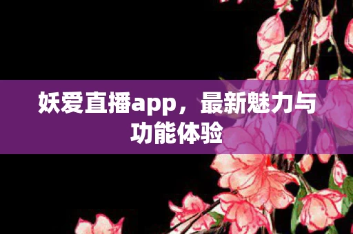 最新魅力与功能体验图片