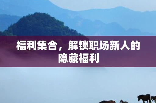 福利集合,解锁职场新人的隐藏福利 福利集合,解锁职场新人的隐藏福利