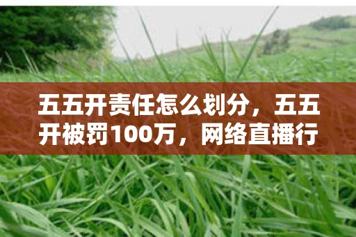 五五开责任怎么划分，五五开被罚100万，网络直播行业的警钟