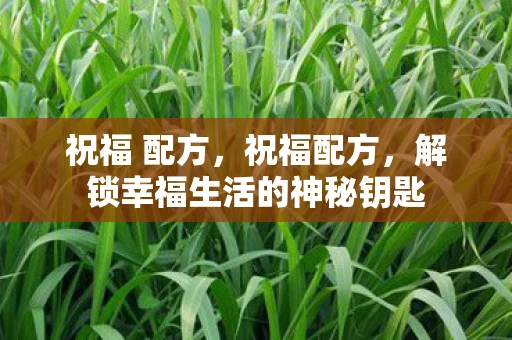 祝福 配方,祝福配方,解锁幸福生活的神秘钥匙 祝福 配方,祝福配方,解锁幸福生活的神秘钥匙