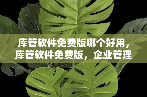 库管软件免费版哪个好用，库管软件免费版，企业管理的得力助手