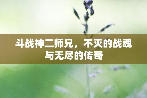 不灭的战魂与无尽的传奇图片