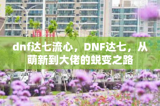 dnf达七流心,DNF达七,从萌新到大佬的蜕变之路 dnf达七流心,DNF达七,从萌新到大佬的蜕变之路