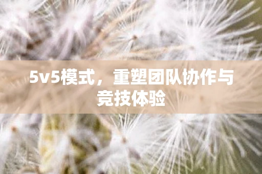 5v5模式,重塑团队协作与竞技体验 5v5模式,重塑团队协作与竞技体验