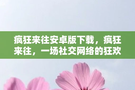 疯狂来往安卓版下载，疯狂来往，一场社交网络的狂欢与反思