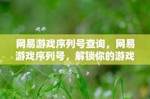 网易游戏序列号查询，网易游戏序列号，解锁你的游戏新世界