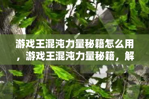 游戏王混沌力量秘籍怎么用，游戏王混沌力量秘籍，解锁你的卡牌游戏潜能